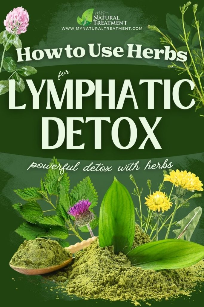 How Can You Detox Your Lymphatic System? 100% Natural - Lymphatic Detox - MyNaturalTreatment.com