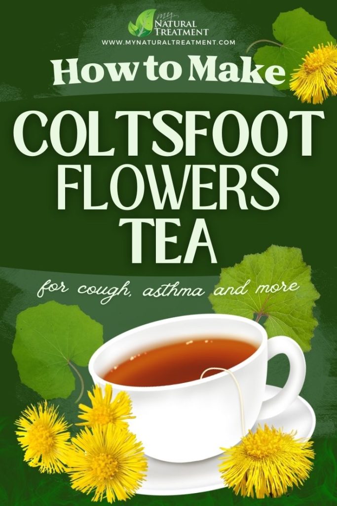 How to Make Coltsfoot Flowers Tea for Cough - MyNaturalTreatment.com