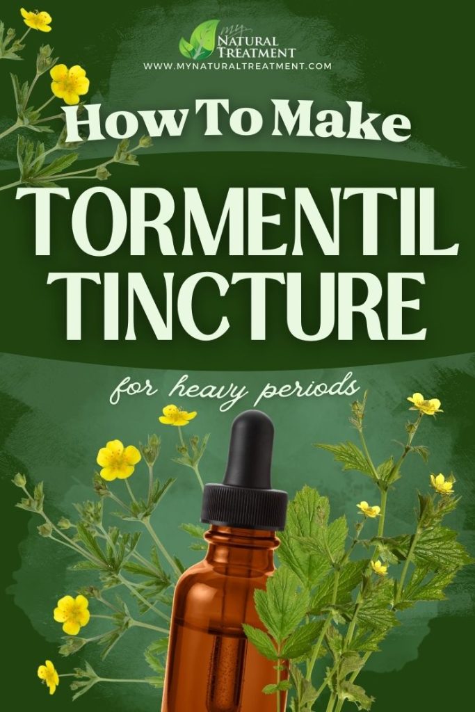 How to Make Tormentil Tincture for Heavy Periods MyNaturalTreatment.com 2