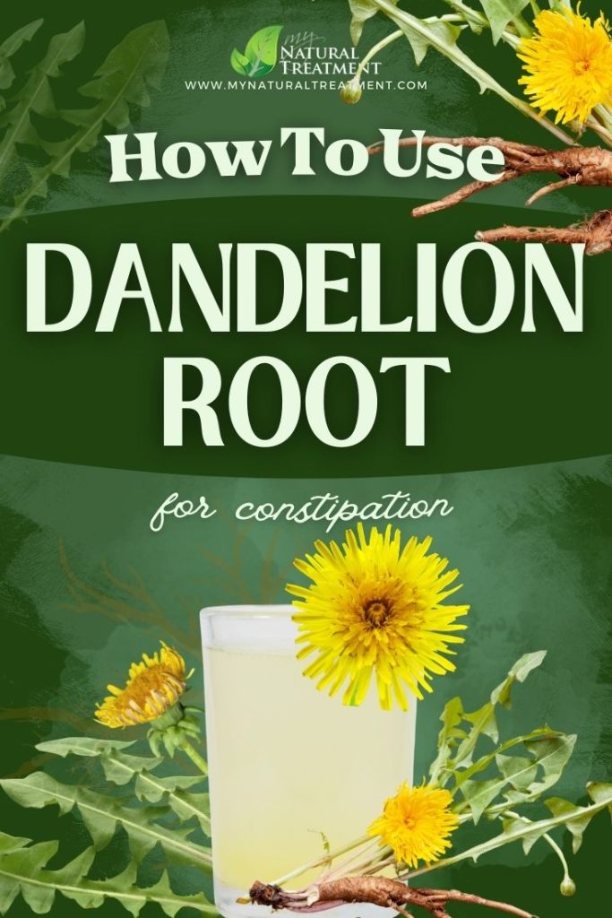 How to Use Dandelion Root for Constipation - MyNaturalTreatment.com