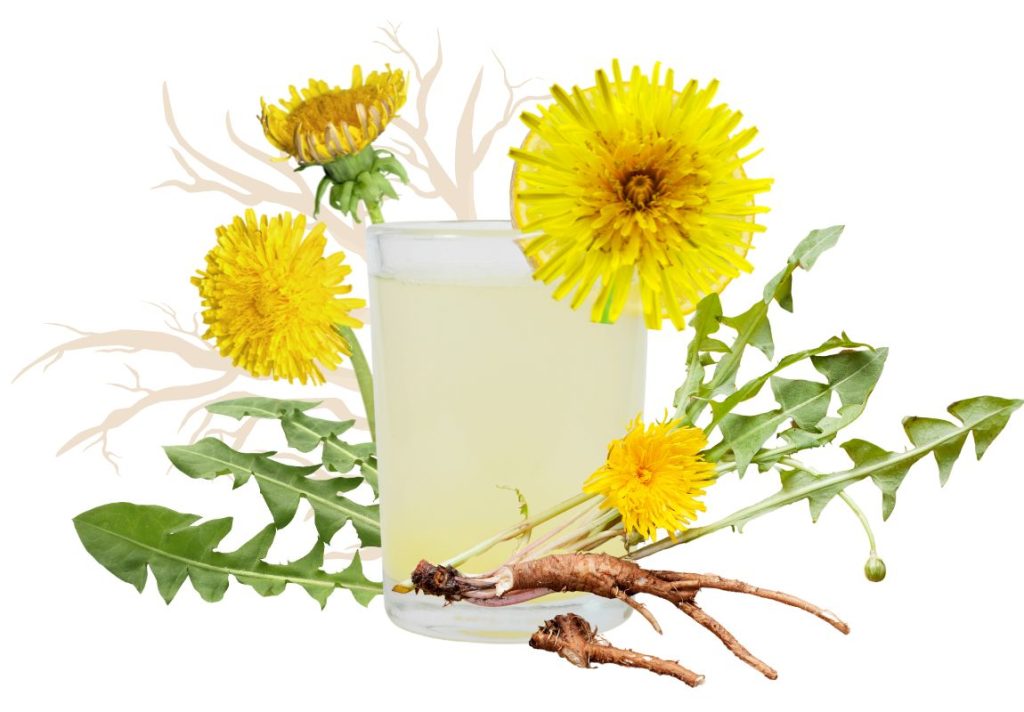 How to Use Dandelion Root for Constipation - MyNaturalTreatment.com