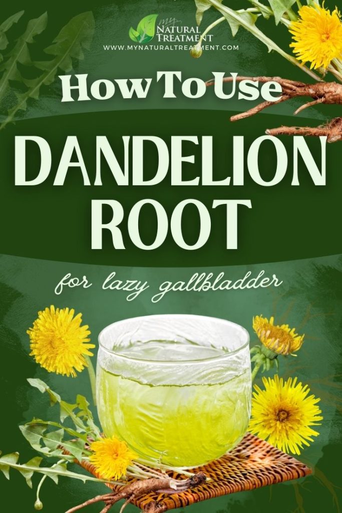 How to Use Dandelion Root for Lazy Gallbladder - MyNaturalTreatment.com