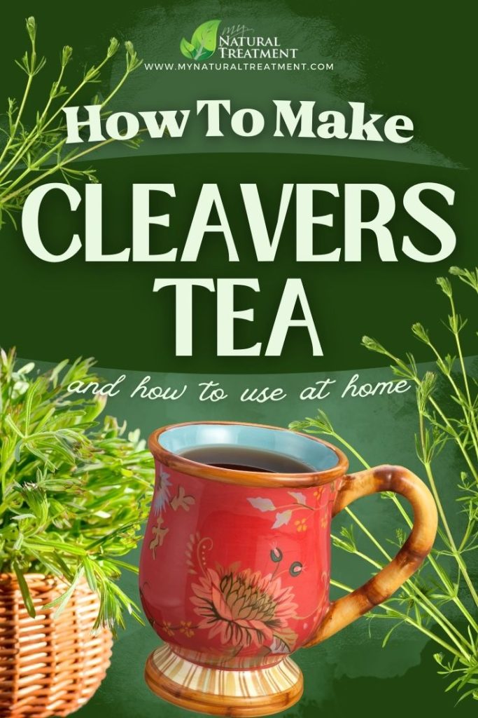 How to Make Cleavers Tea and Use at Home - Cleavers Uses - Cleavers Tea Recipe  - MyNaturalTreatment.com