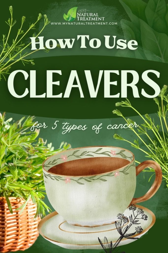 How to Make Cleavers Tea and Use at Home - Cleavers Uses - Cleavers Tea Recipe  - MyNaturalTreatment.com