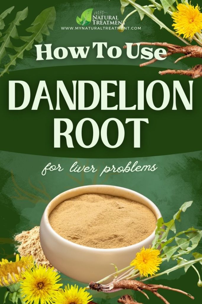 How to Use Dandelion Root for Liver Problems - MyNaturalTreatment.com