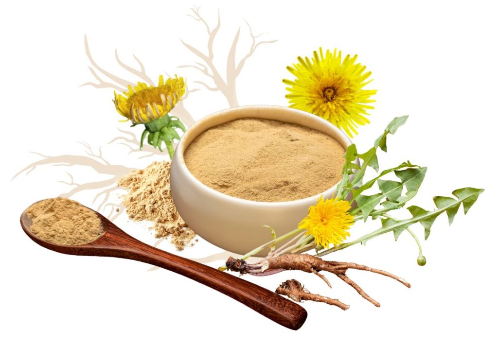 How to Use Dandelion Root for Liver Problems - MyNaturalTreatment.com