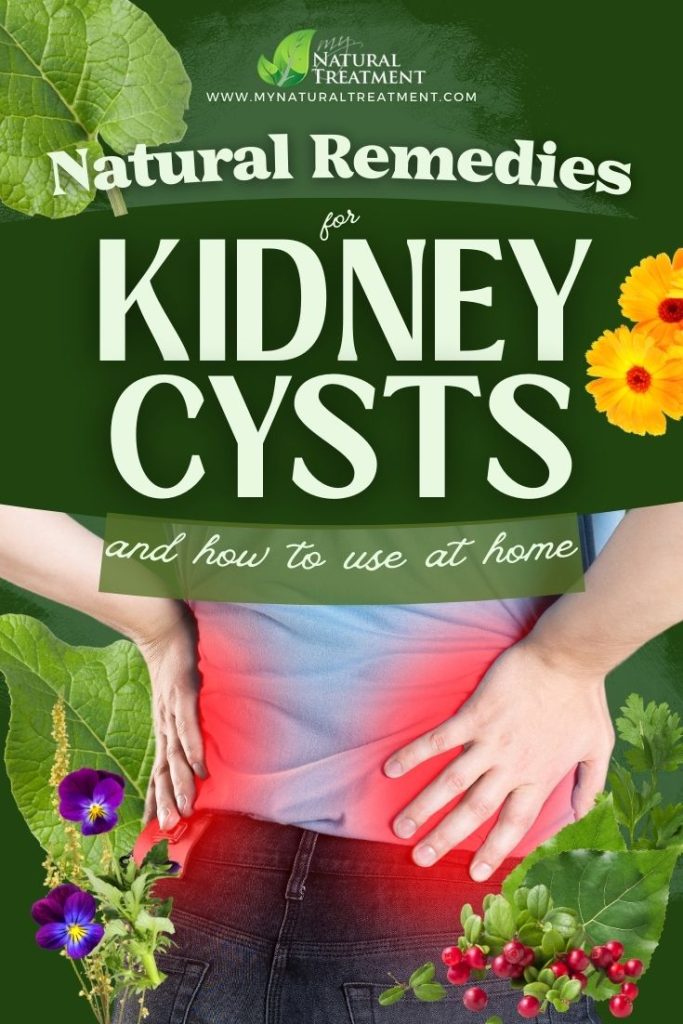 Natural Remedies for Kidney Cysts - MyNaturalTreatment.com - MyNaturalTreatment.com