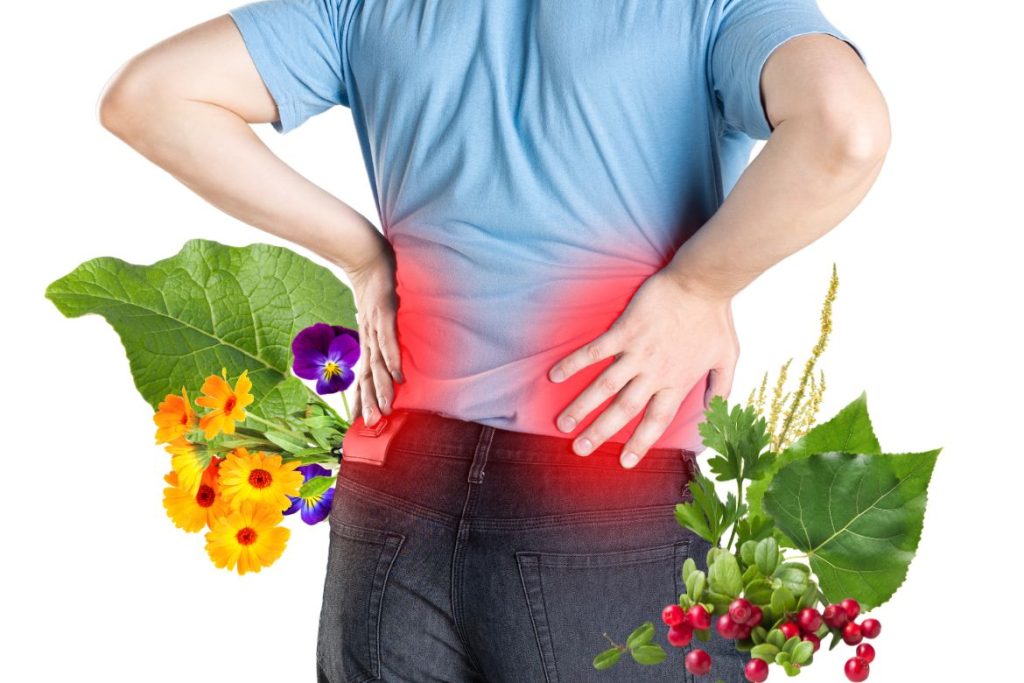 9 Natural Remedies for Kidney Cysts - MyNaturalTreatment.com