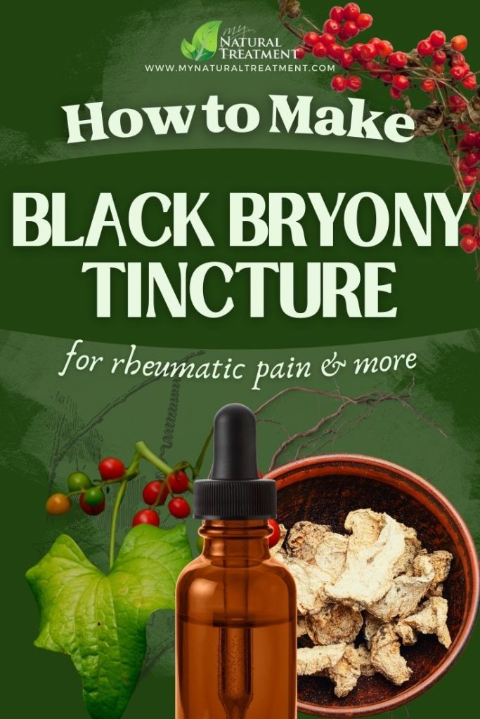 How to Make Black Bryony Tincture for Rheumatic Pain and More - Black Bryony Uses - Black Bryony root - MyNaturalTreatment.com - MyNaturalTreatment.com