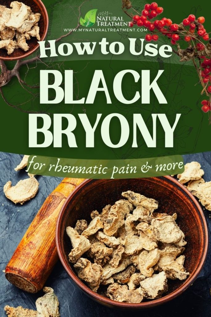 How to Use Black Bryony for Rheumatic Pain and More - Black Bryony Uses - Black Bryony root - MyNaturalTreatment.com - MyNaturalTreatment.com