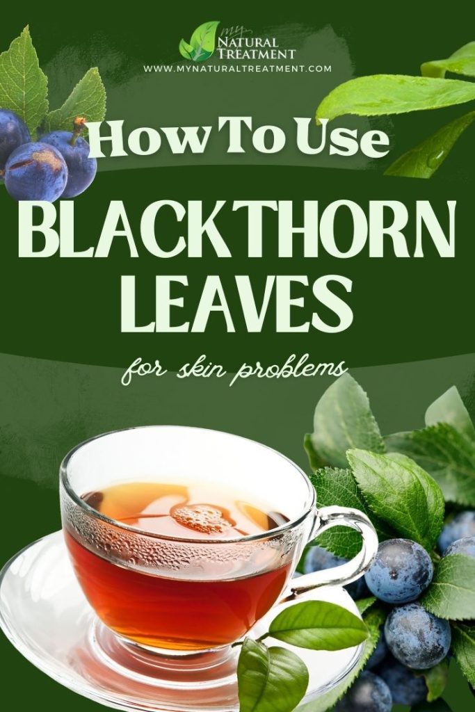 How to Use Blackthorn Leaves for Skin Problems - MyNaturalTreatment.com - MyNaturalTreatment.com